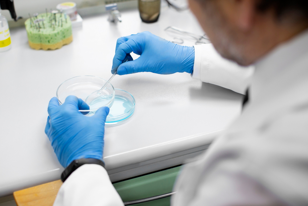 Maroc-Fertilité La référence de la fertilité au Maroc & en Afrique